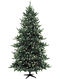 Christmas Pine Tree 2 