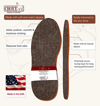 insole