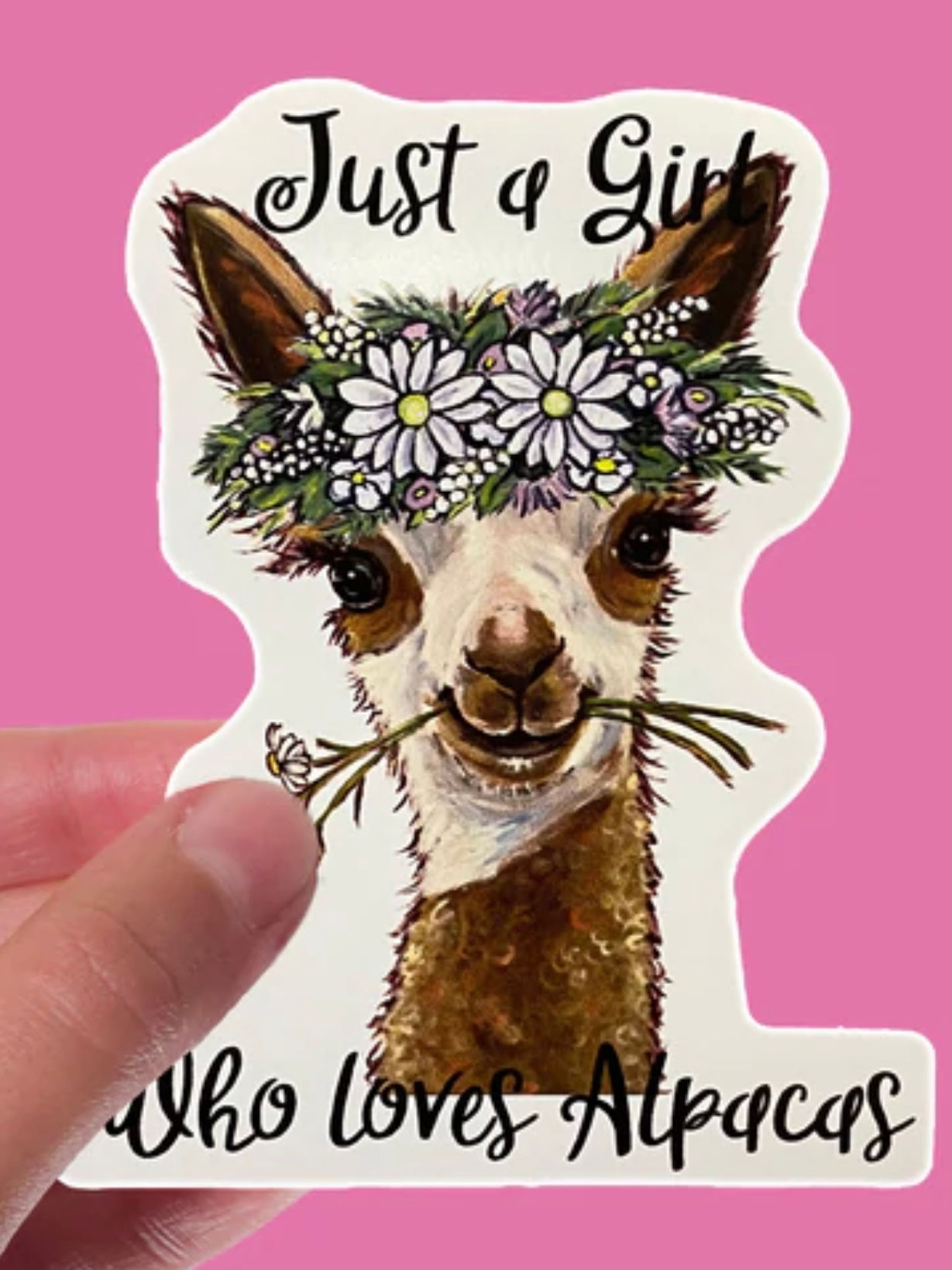 STICKER - JUST A GIRL WHO LOVES ALPACAS