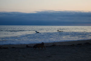 Newport Beach California Sunset