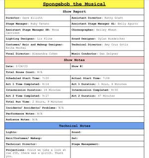 The Spongebob Musical Show Report
