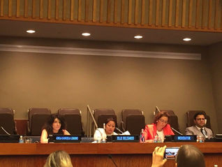 Jille Belisario (Faculty) is speaking at the opening session and roundtable dialogues of the
UN Summ