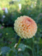 Thumbnail: Ms. Honey 