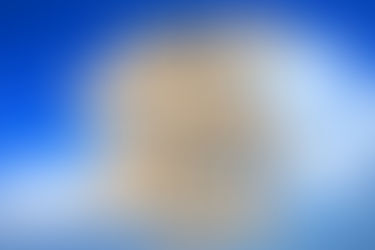 Procedures Postponed (for now)