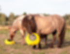 Mini Heica Fluffy Hay Feeder yellow ponies