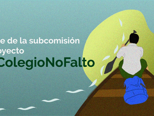 Informe subcomisión