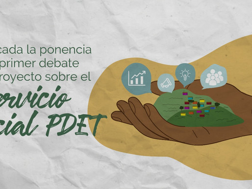 Ponencia Servicio Social PDET