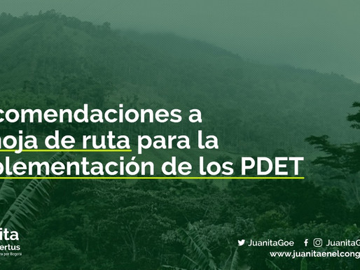 Recomendaciones para la Hoja de Ruta del Catatumbo
