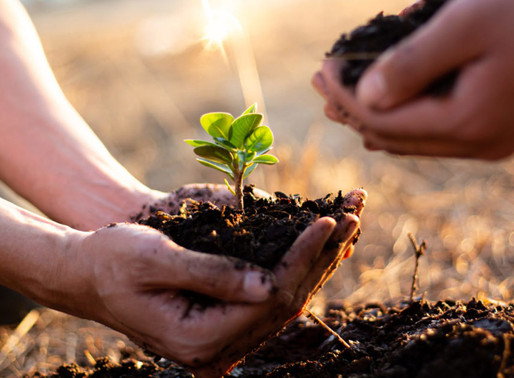 Servicio socioambiental obligatorio