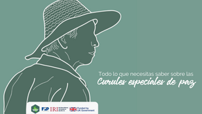 Lo que necesitas saber sobre Curules especiales de paz
