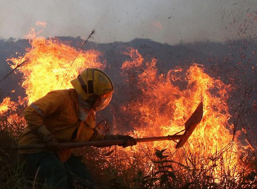 Manejo integral del fuego