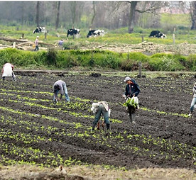 Transporte escolar rural.jpg