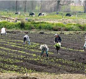 Transporte escolar rural.jpg