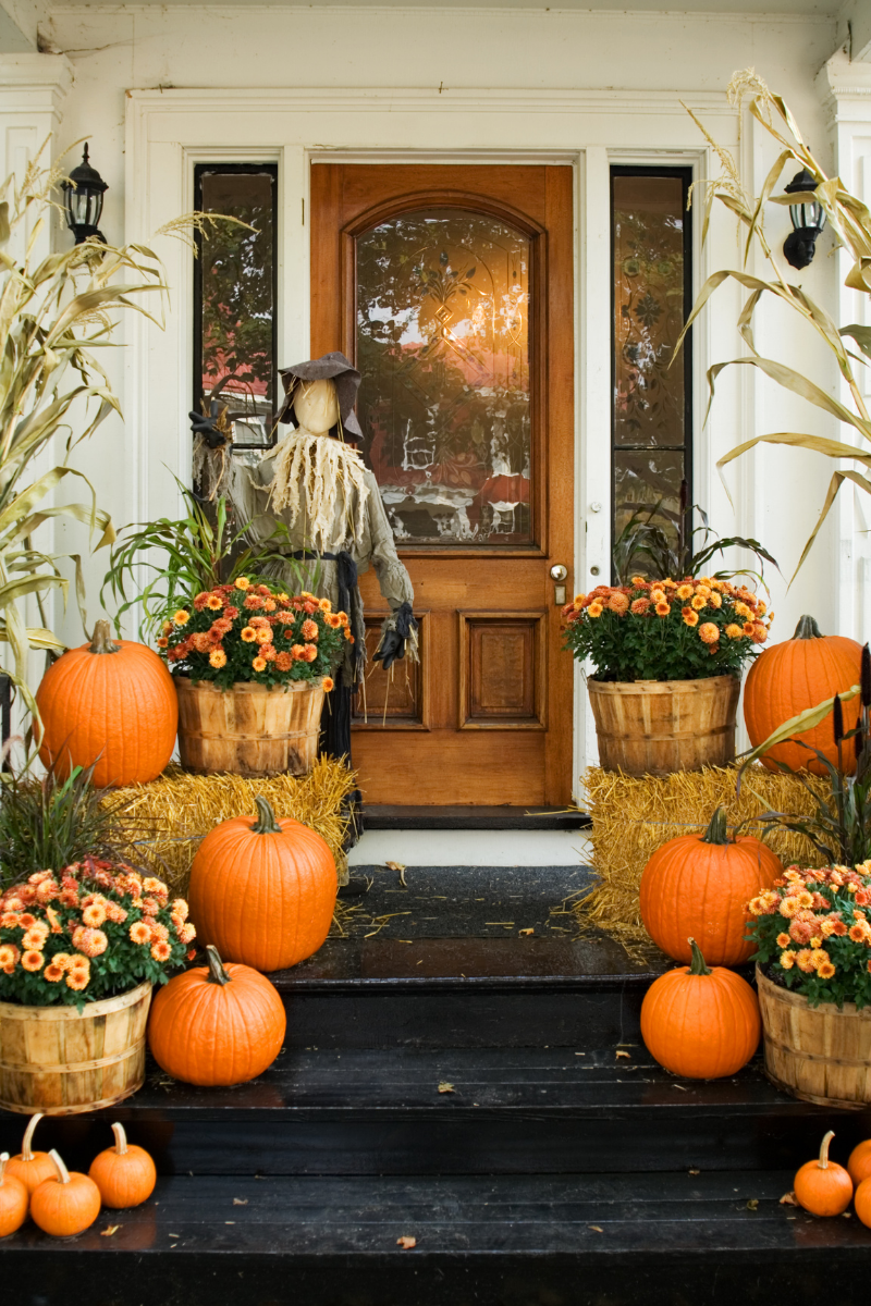 Front porch decorated for Halloween with large intact pumpkins, corn stalks, straw bales, a scarecrow figure and potted mums. All decorations are solid, natural or contained, placed close to the house and off the ground, avoiding loose webs, cords or hanging items that could entangle wildlife. This setup creates an autumn theme that is safe for birds, mammals and other animals moving through the yard.