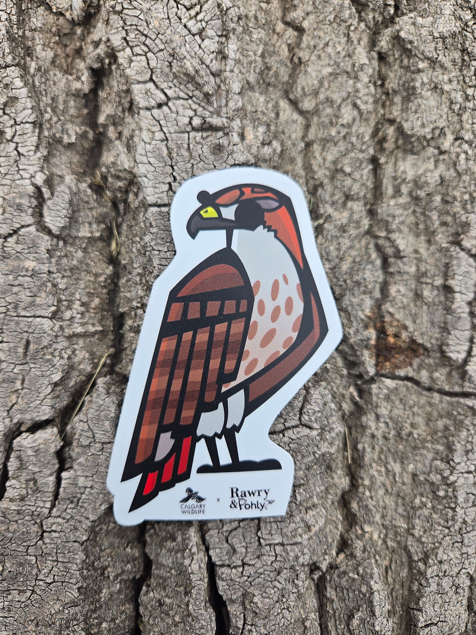 Thumbnail: Rawry & Pohly x Calgary Wildlife Stickers