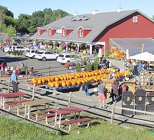 rideght hillsdale car service.jpeg