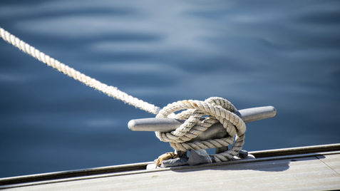 AdobeStock_55176070.jpeg