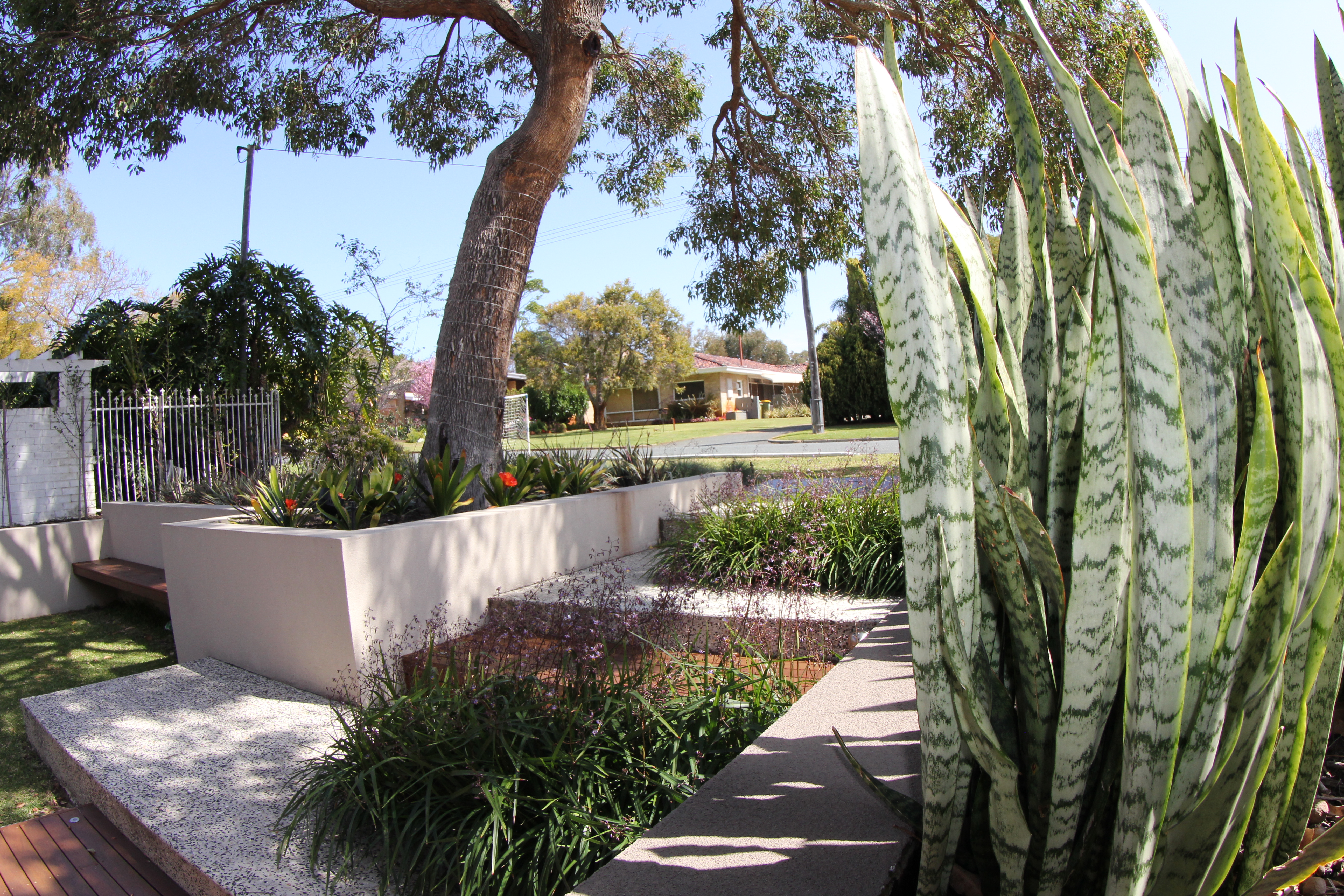streetscape, Floreat