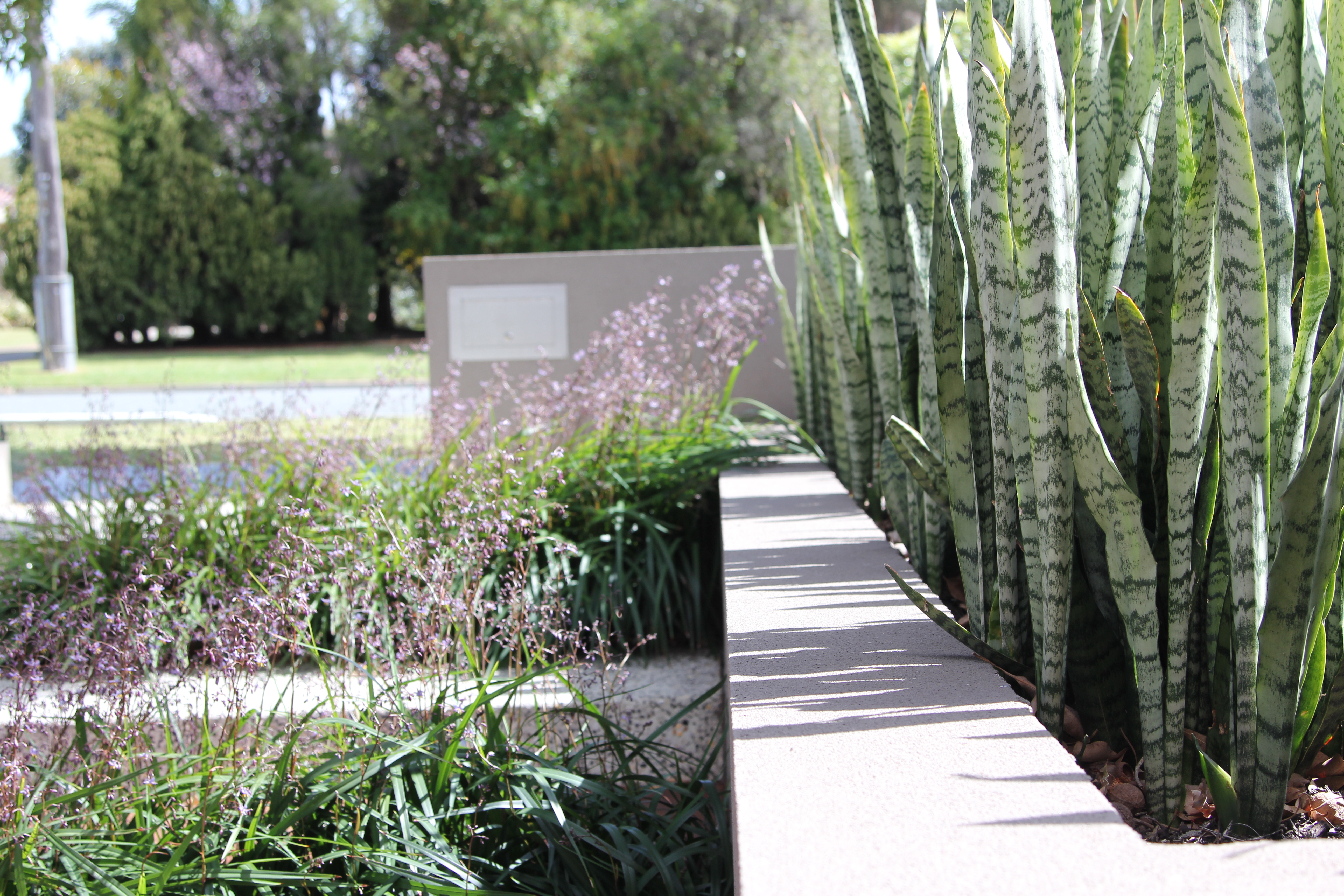 front garden, Floreat