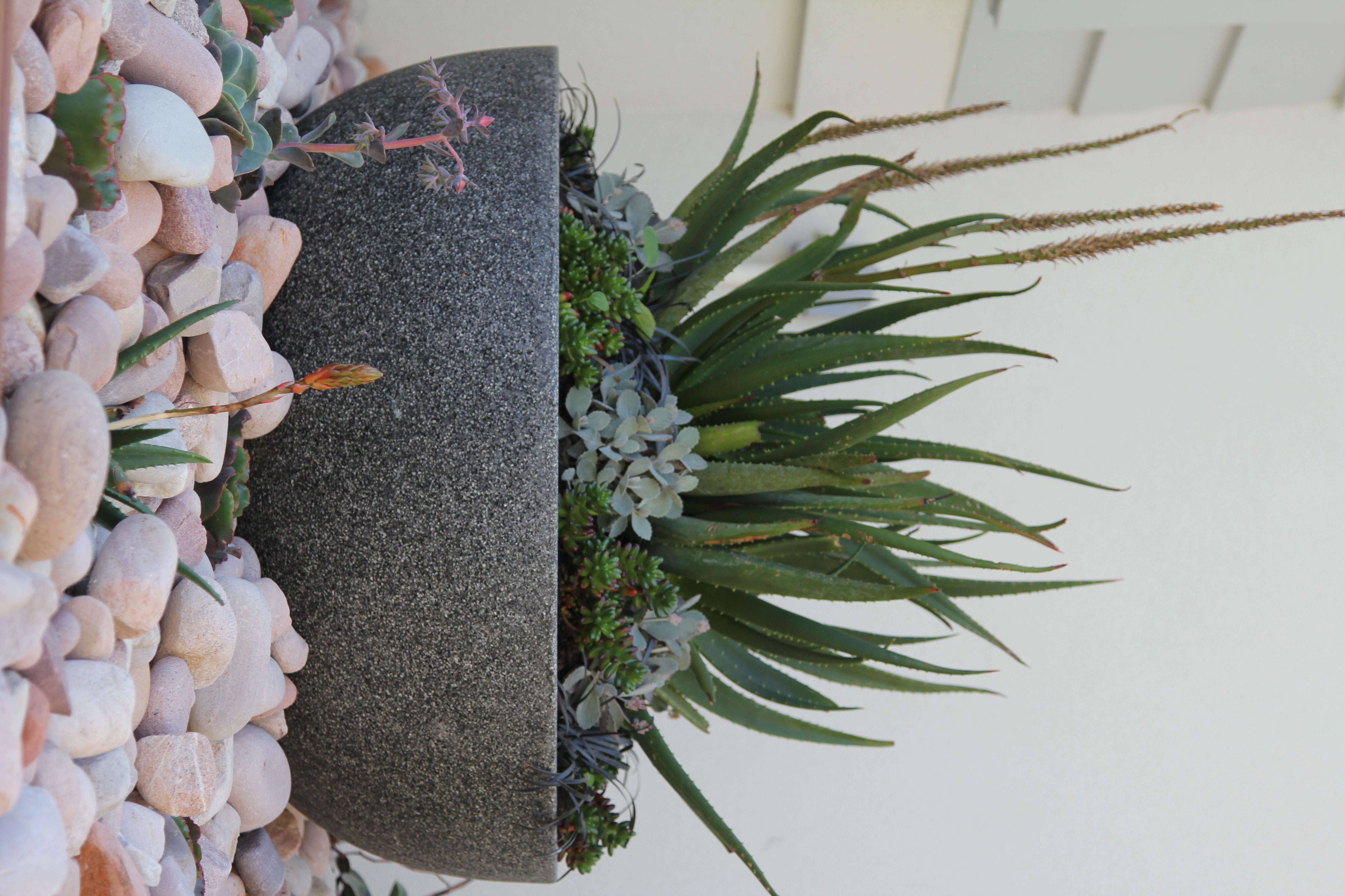 feature pot