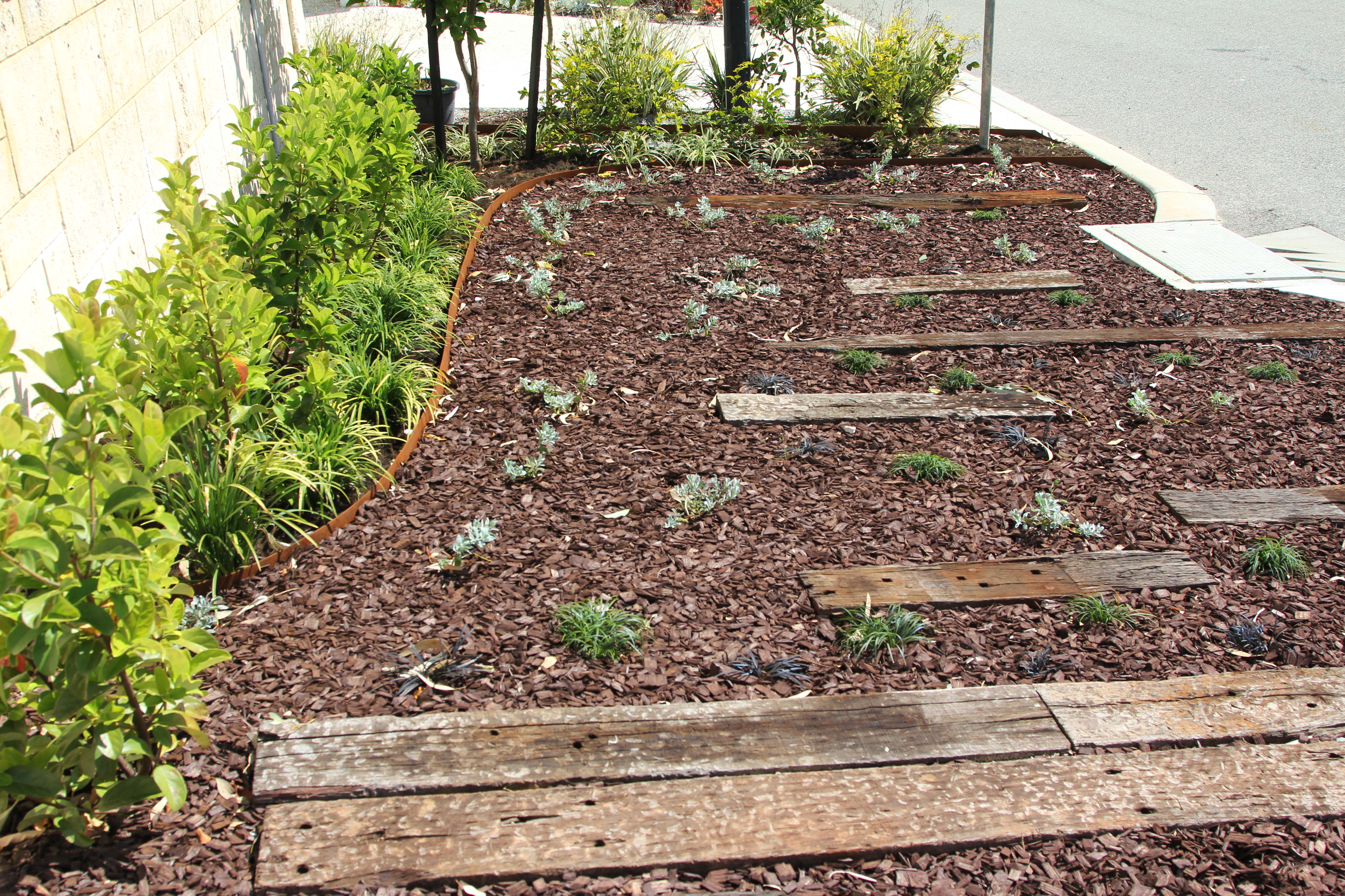 kerbside sleepers, Swanbourne