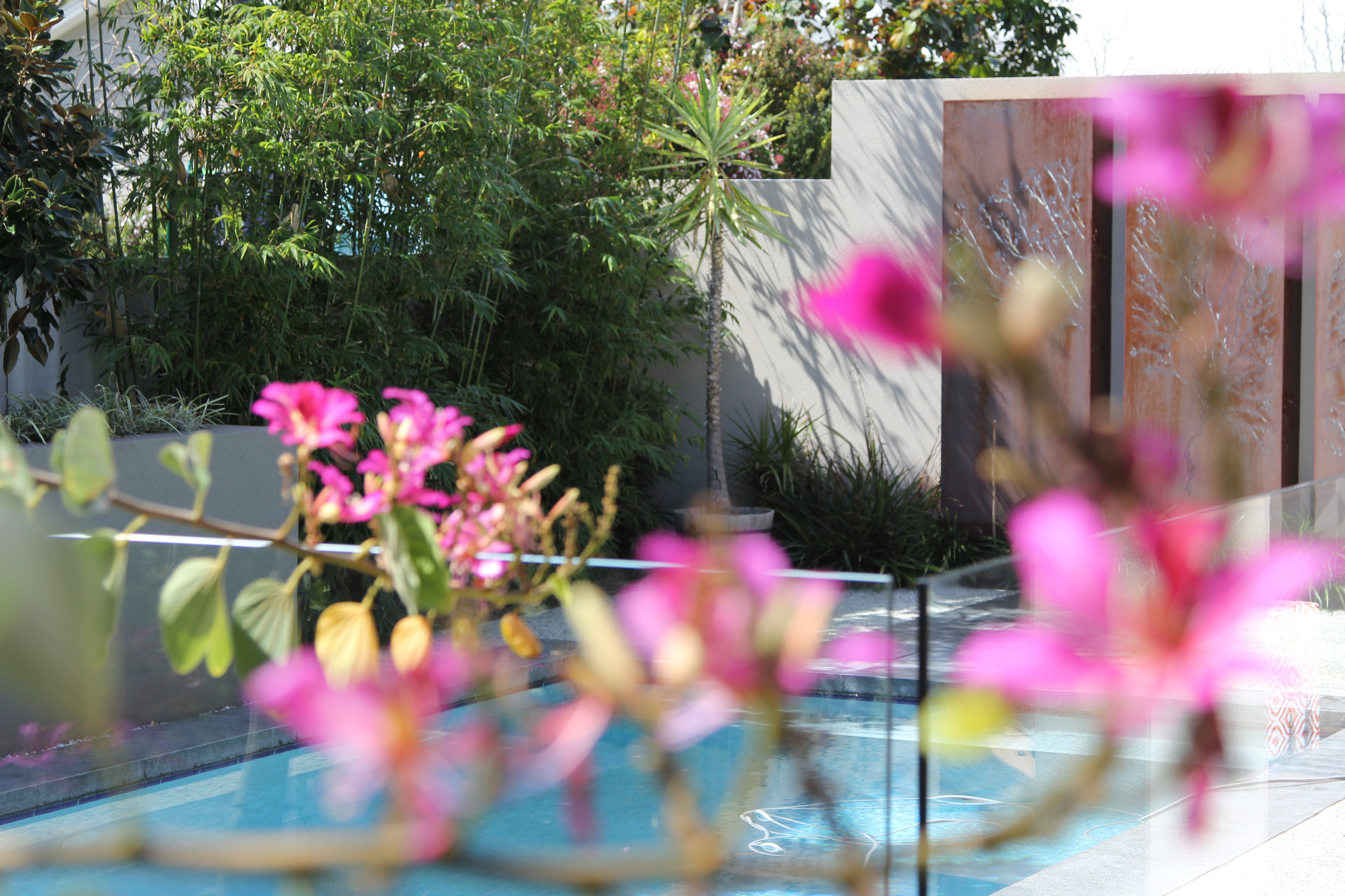 poolside landscaping, Floreat