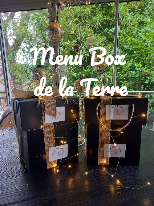 Menu Réveillon TERRE