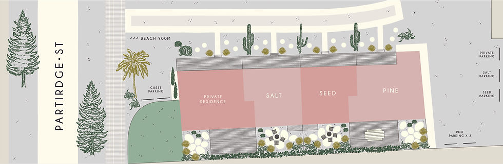 May22-Salt-seed-pine-plan-Colour.jpg