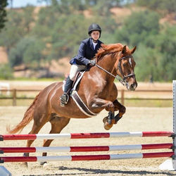 280379592_522520099529327_8870047637929342965_n