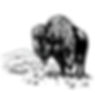 black and white image of a bison grazing on a hill .jpg