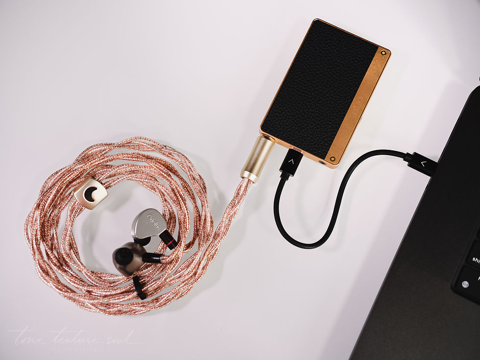 NiPO A100 DAC/AMP Review
