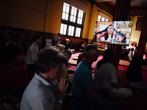 Photograph from KIBI - A Portal to Goodness — Karmapa International Buddhist Institute, New Delhi, India — March 2026 — photograph by Tokpa Korlo