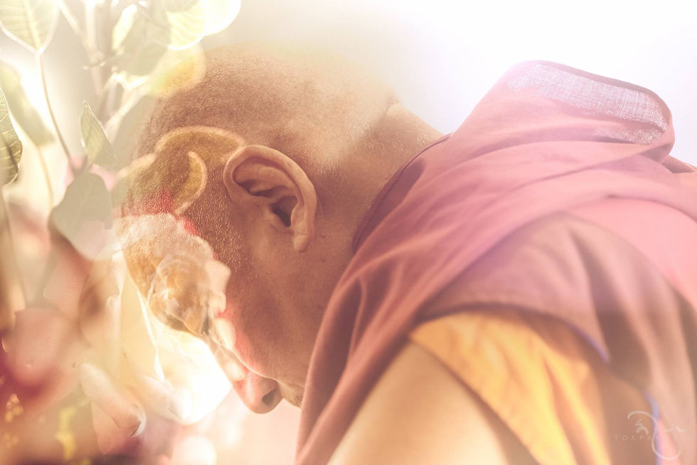 Photograph from Dhagpo - These Golden Moments — Dhagpo Kagyu Ling, Dordogne, France — September 2016 — photograph by Tokpa Korlo