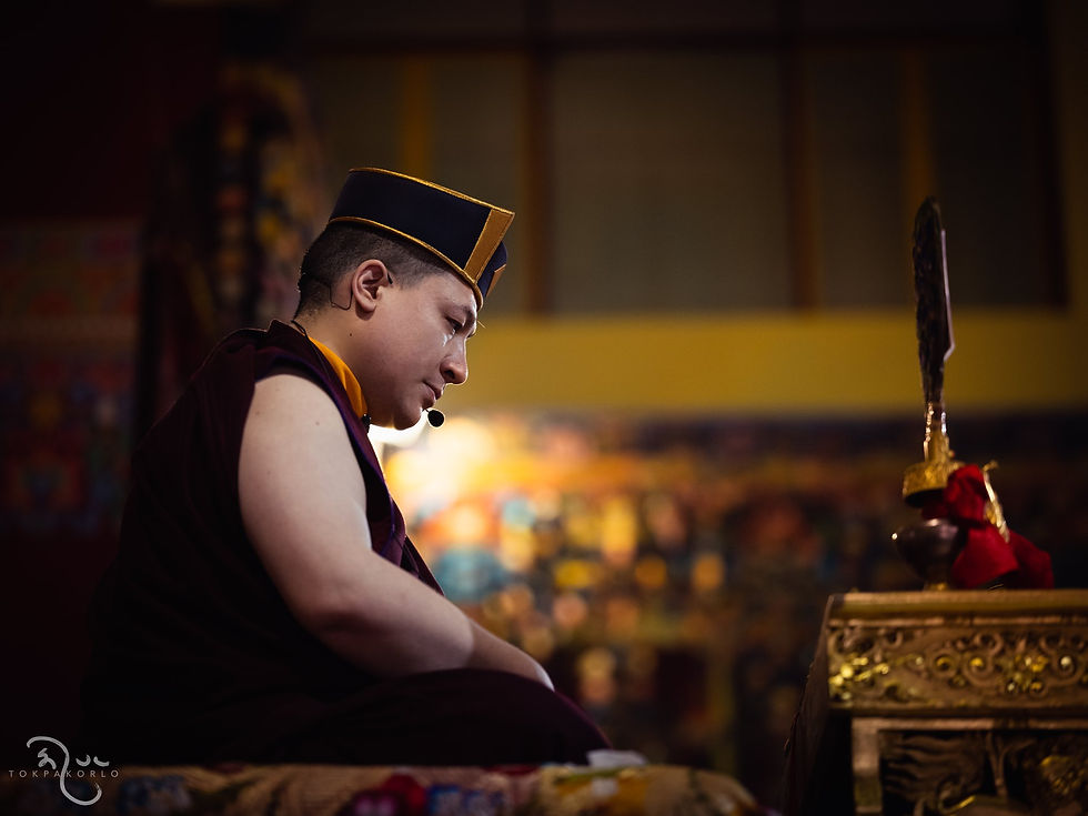 Photograph from KIBI - It's A Family Thing — Karmapa International Buddhist Institute, New Delhi, India — March 2019 — photograph by Tokpa Korlo