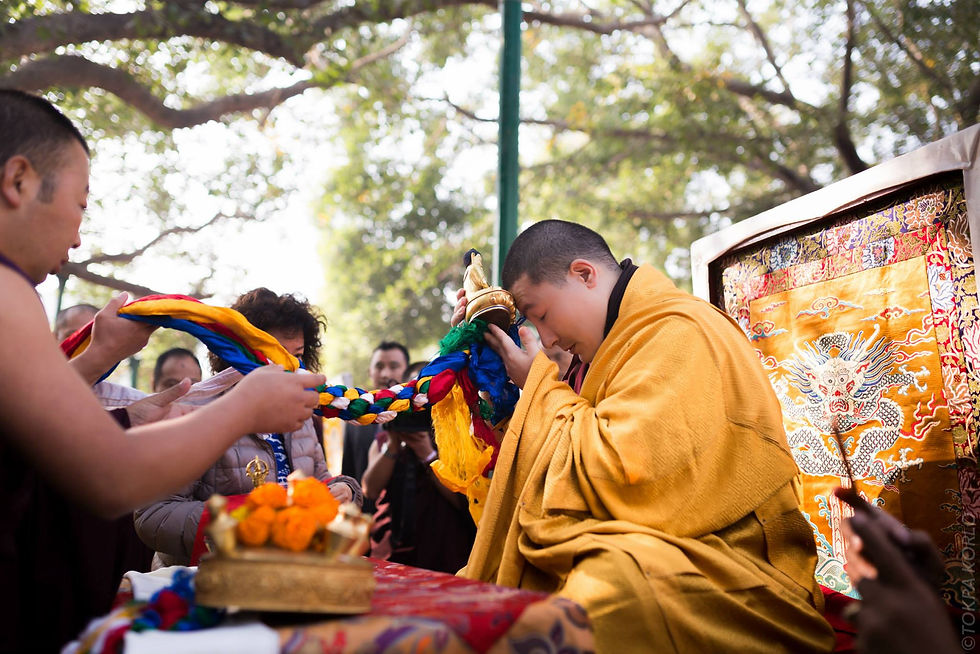 Seven days of Monlam prayer gathered beneath the Bodhi tree — Bodh Gaya, Bihar, India — January 2015 — Seven Days Under The Tree - The Monlam Collection — photograph by Tokpa Korlo