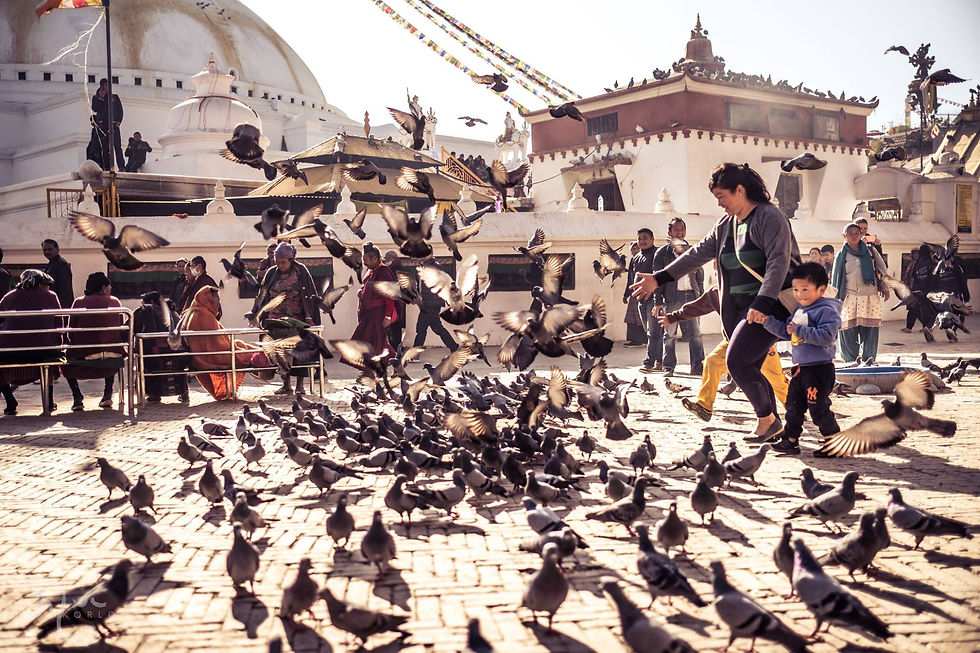 Photograph from Kathmandu - Another Perfect Day — Boudhanath, Kathmandu, Nepal — January 2017 — photograph by Tokpa Korlo