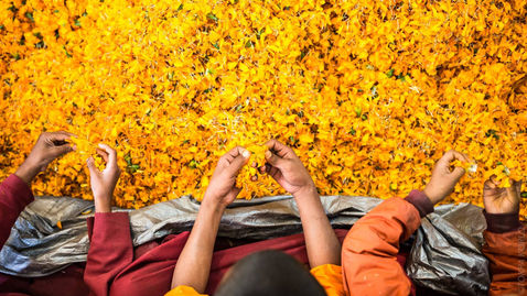 Photograph from From Nala - With Her Gaze Of Green Jade — Nala Monastery, Kathmandu Valley, Nepal — November 2015 — photograph by Tokpa Korlo
