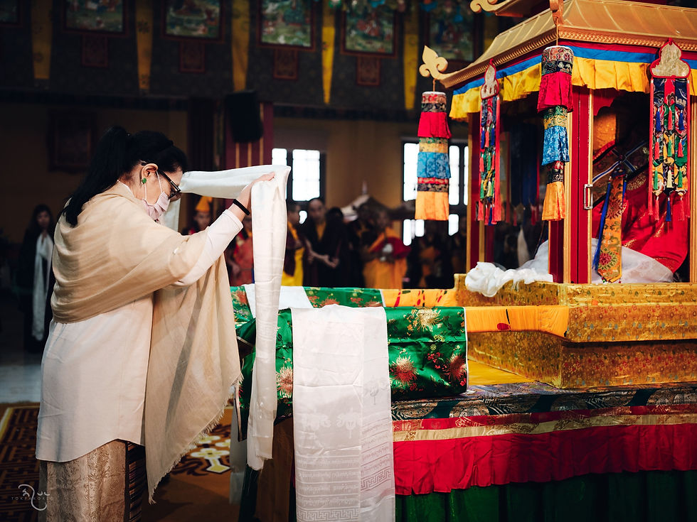 Photograph from KIBI - The Dark and Grey — Karmapa International Buddhist Institute, New Delhi, India — December 2025 — photograph by Tokpa Korlo