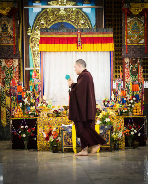 Photograph from Color, Precision, Power and Grace — Karmapa International Buddhist Institute, New Delhi, India — June 2015 — photograph by Tokpa Korlo