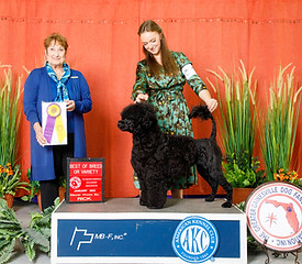 Ocala 2023 Rick Meyeer Chanel Lafever BOB.jpg