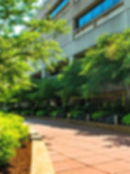 HCL9_edited.jpg