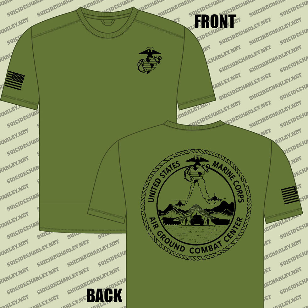 Thumbnail: MCAGCC 29 PALMS VINTAGE SYLE T-SHIRT