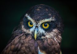 01270a57304c3965f82fa705849ed705f5a8129eeb