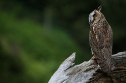 01d9ccf6d195e71d4fc829656d8f2670acb06bd790