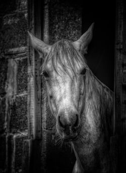 01bc8c0752958faf277ad3613099725901243bc77d