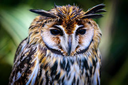 01ceb9eef87baf7204249ffbc032f85607e8844b58