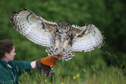 01e18fbb914f5f5acdfc512135c585b47eedba6b1d