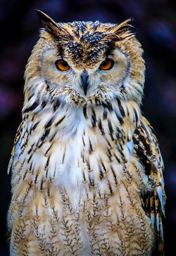 015ba8c1e5c01f1151d18b4bd099ab49a6858d93f1