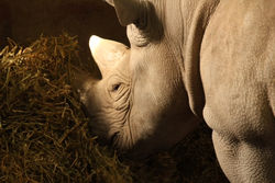 DBD496AA-299E-45B7-B48B-E5CAEA138761_photo