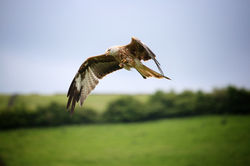 01d6d1e18990a2a2dd717052b820713833f2d543d0